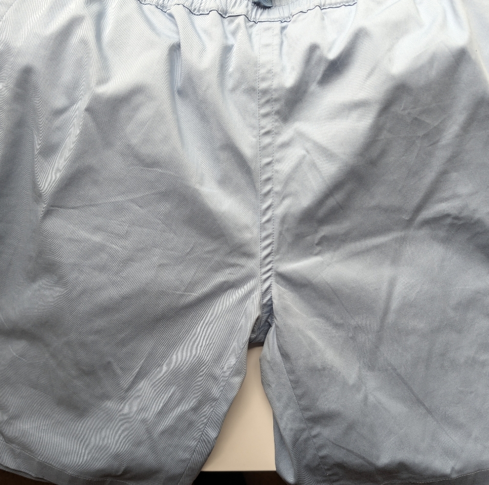 Sandro Light Blue and White Casual Shorts